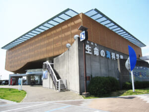 蒲郡市生命の海科学館